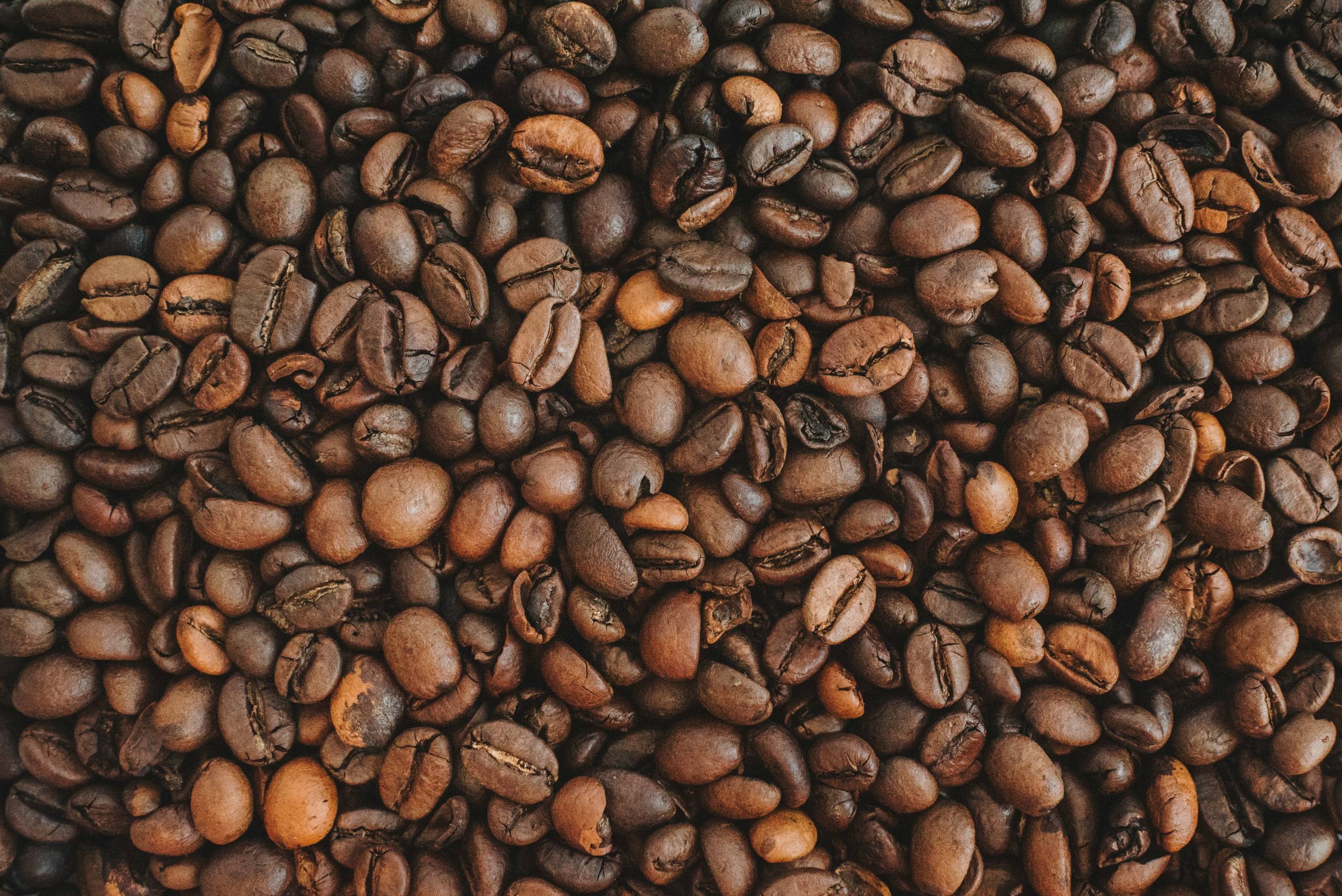 Coffee Beans-image